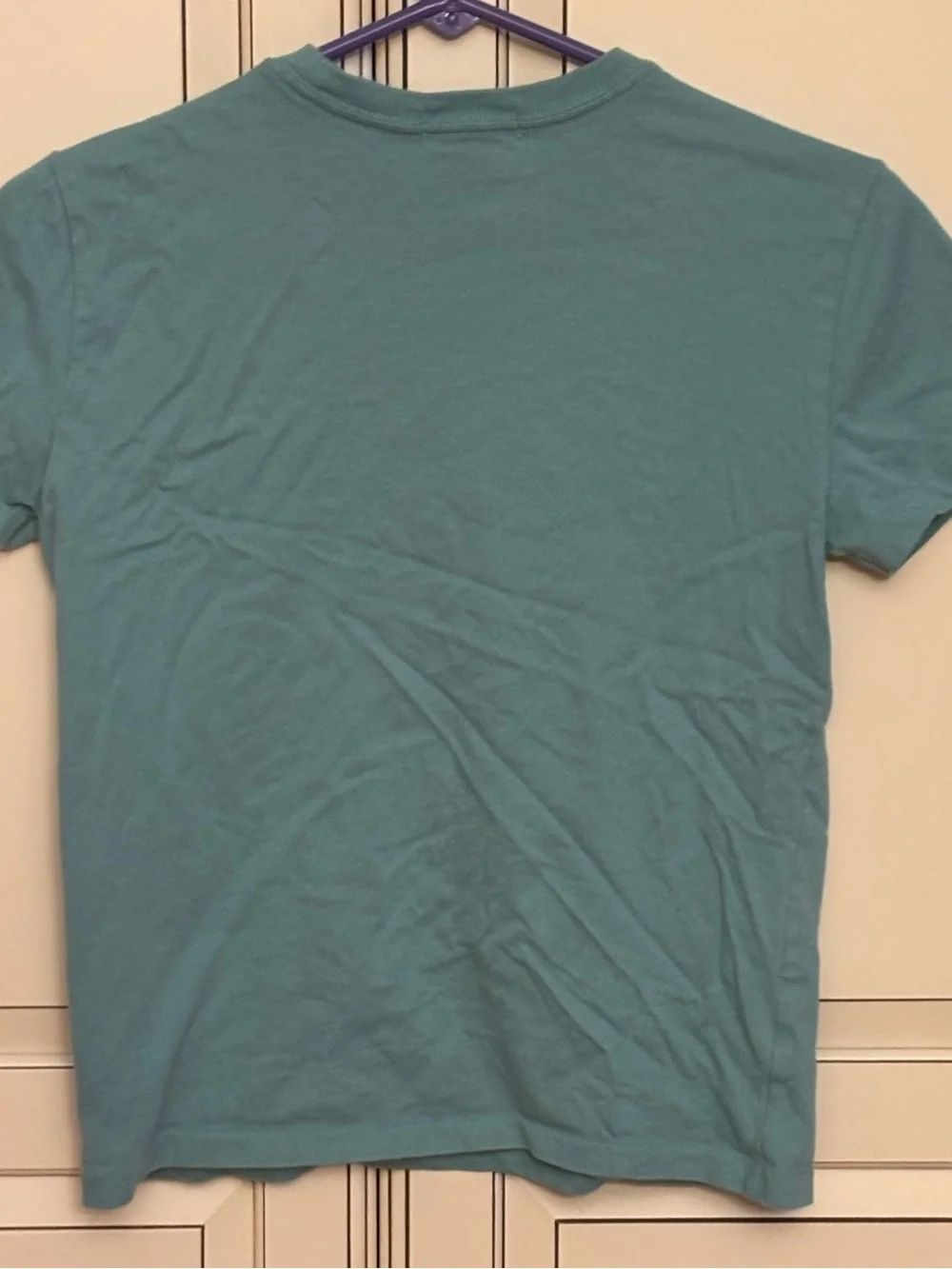 Ralph Lauren Kids Teal Polo Graphic Tee- size S (8)